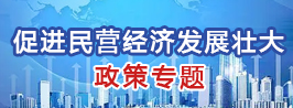 促进民营经济发展壮大