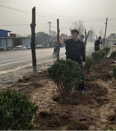 泽林镇人口_人口老龄化(3)